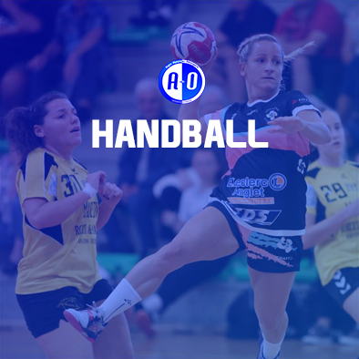 images/images/sections/Etiquette_sectionHandball.jpg